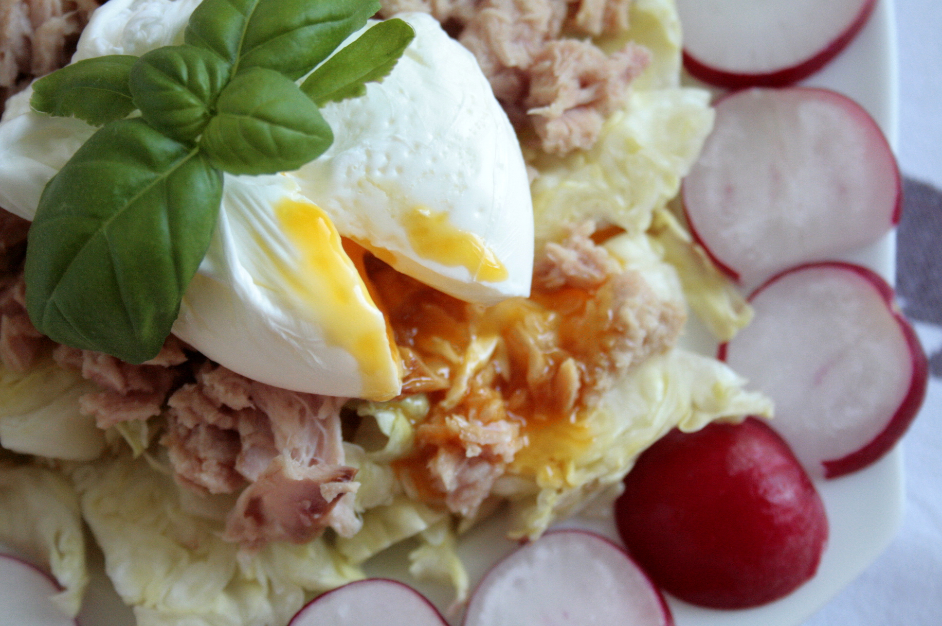 Low FODMAP Poached Egg Salad Fit FODMAP Foodie