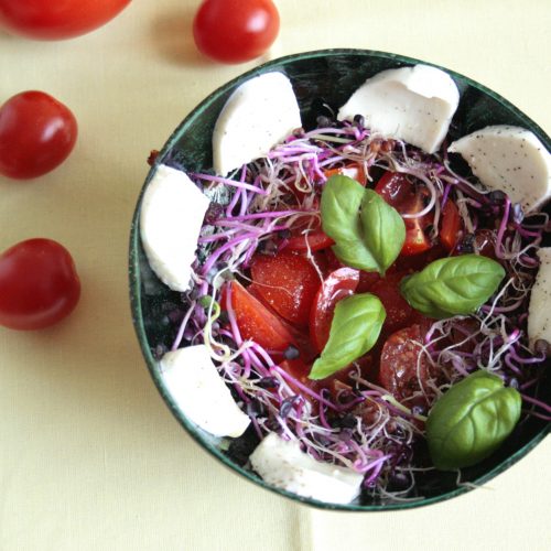 Low FODMAP Tomato, sprouts and mozarella salad