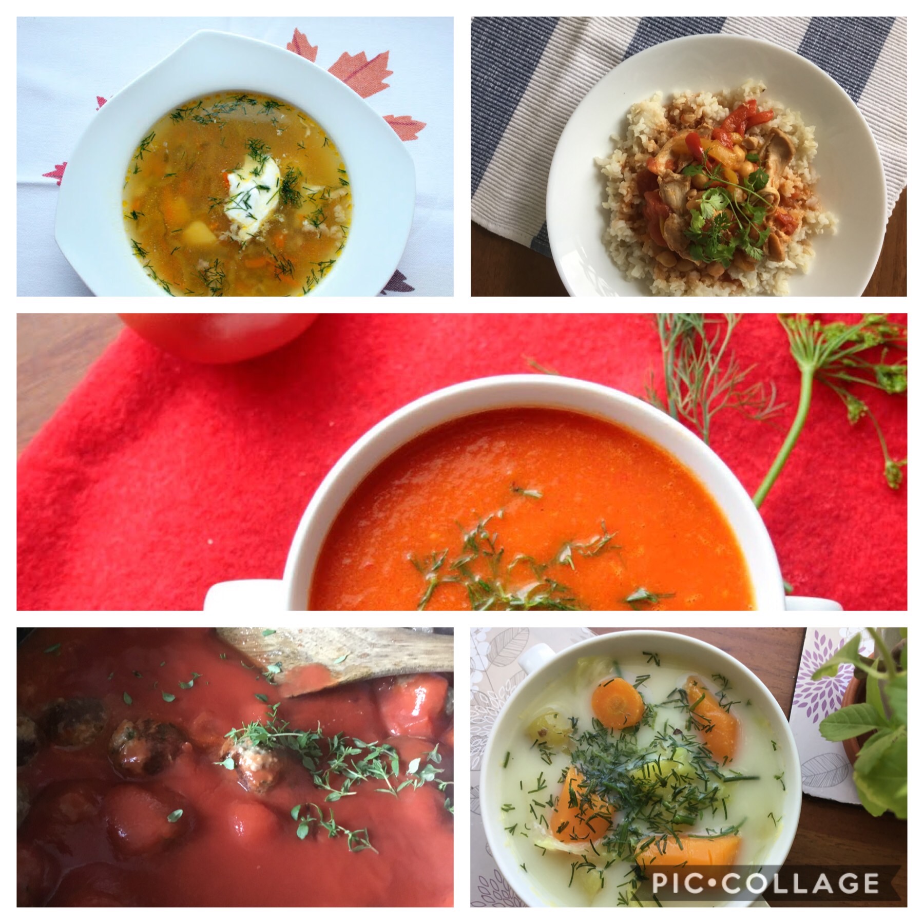 Cabbage rolls stuffed with veg and mince (low FODMAP) Fit FODMAP Foodie