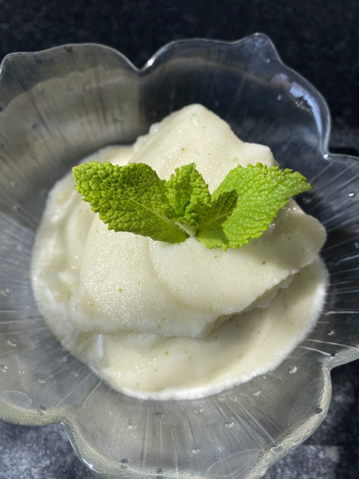 Melon and Mint Sorbet (Low FODMAP) Fit FODMAP Foodie