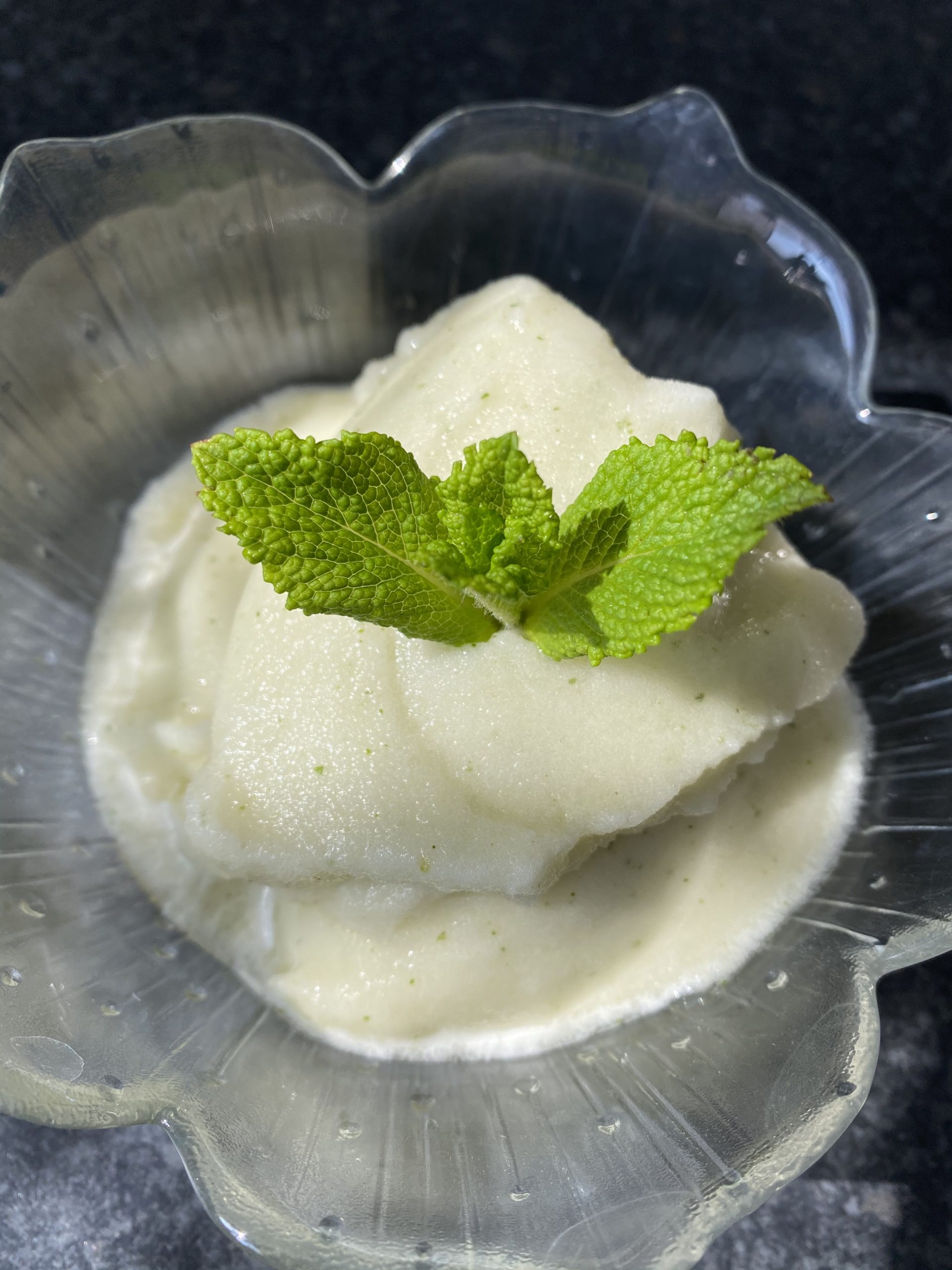 Melon and Mint Sorbet (Low FODMAP) Fit FODMAP Foodie